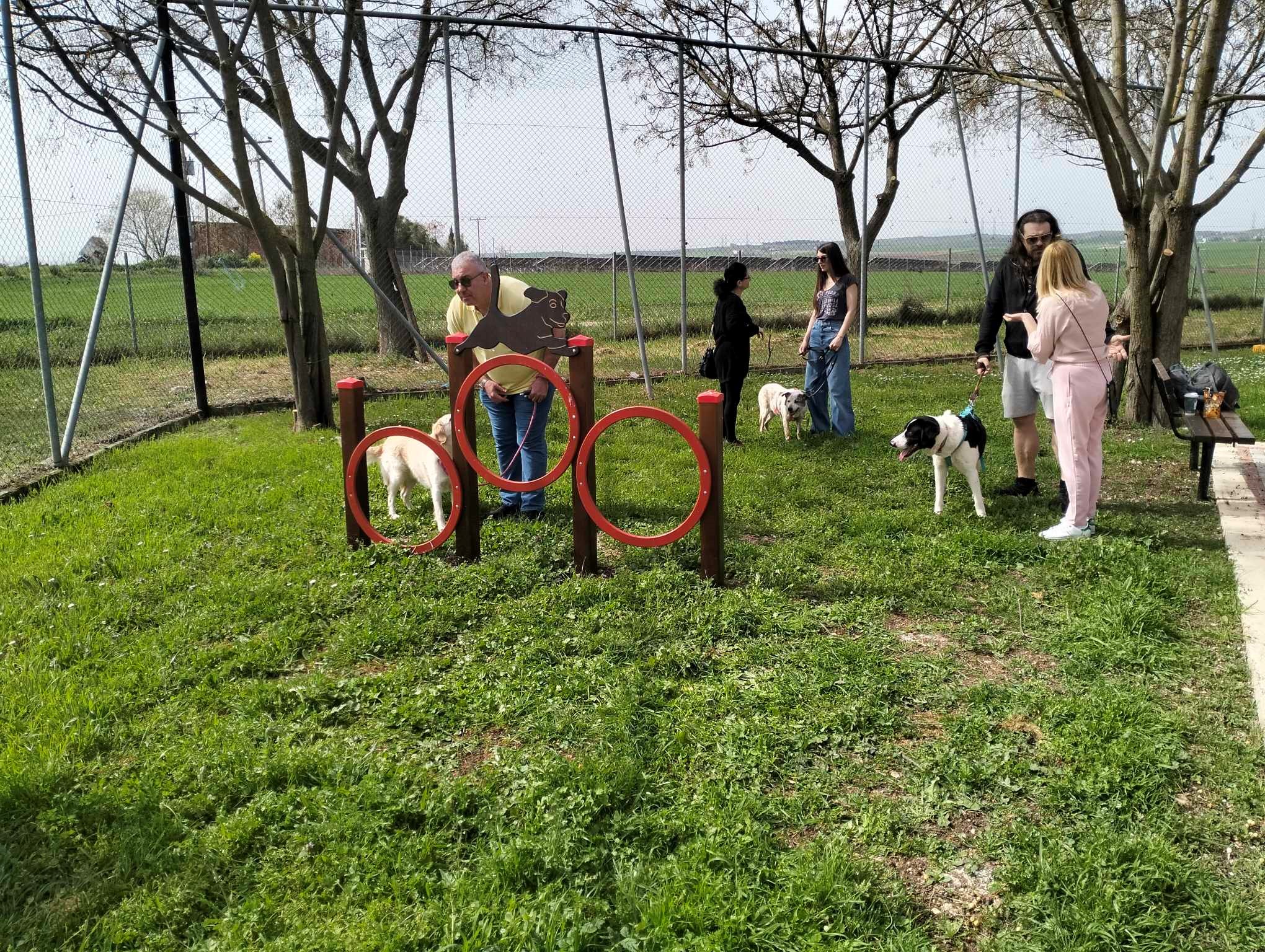 Αυλή δύο στρεμμάτων θα έχουν τα σκυλιά του καταφυγίου